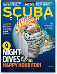 Scuba Diving